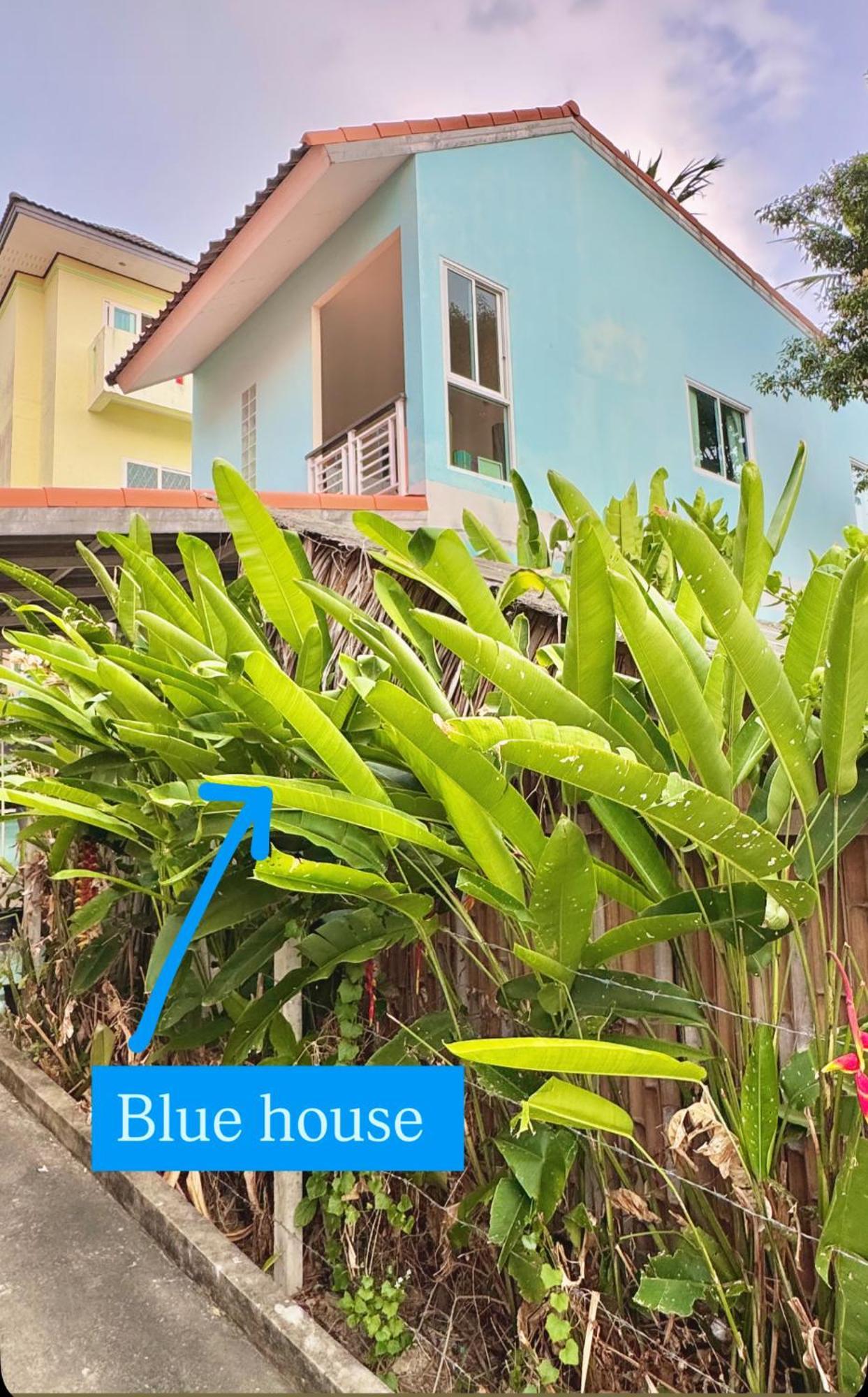 Sea Dreamer Beachfront Apartments Phuket Екстериор снимка